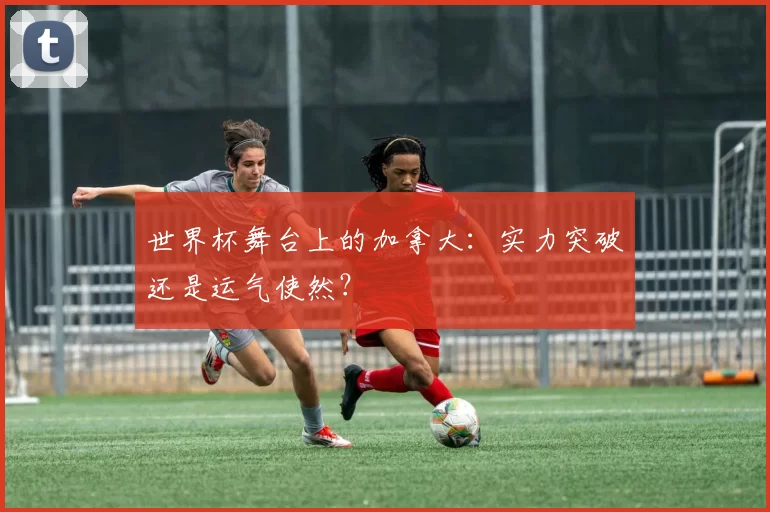 世界杯舞台上的加拿大：实力突破还是运气使然？