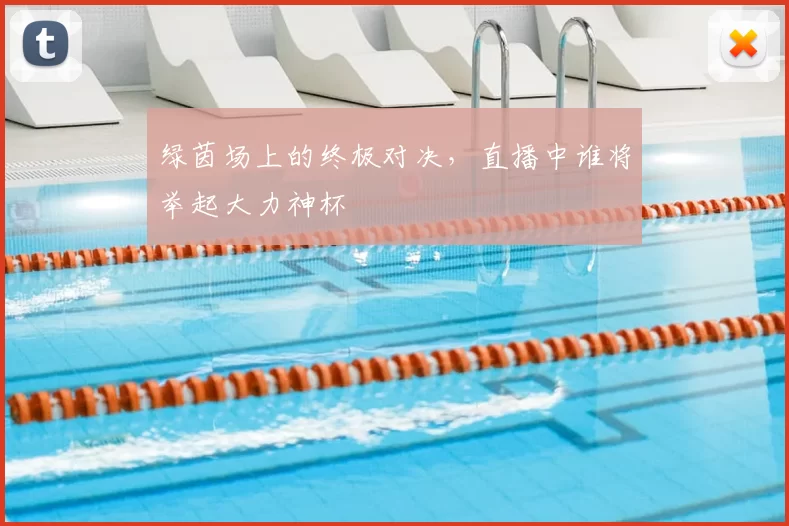 绿茵场上的终极对决,直播中谁将举起大力神杯