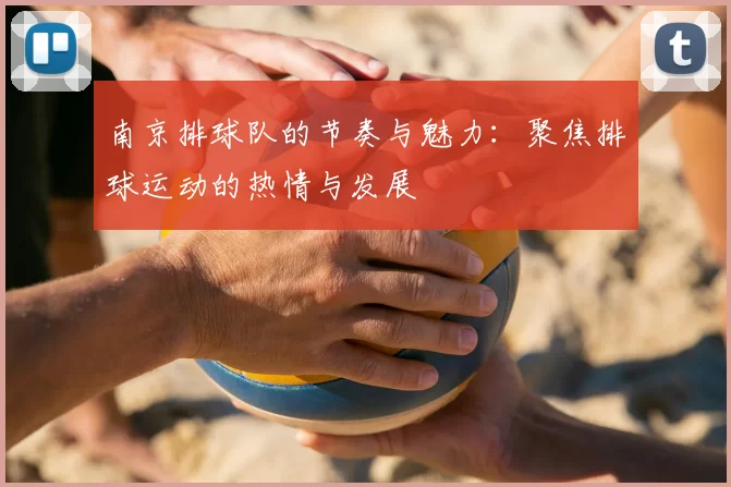 南京排球队的节奏与魅力：聚焦排球运动的热情与发展