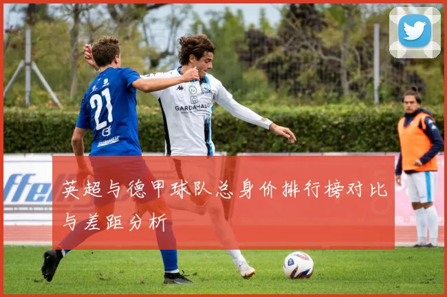 英超与德甲球队总身价排行榜对比与差距分析