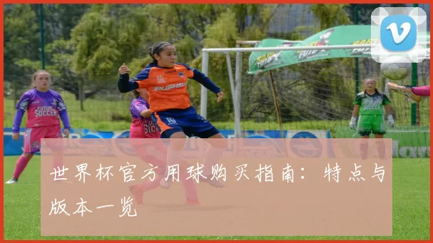 世界杯官方用球购买指南:特点与版本一览