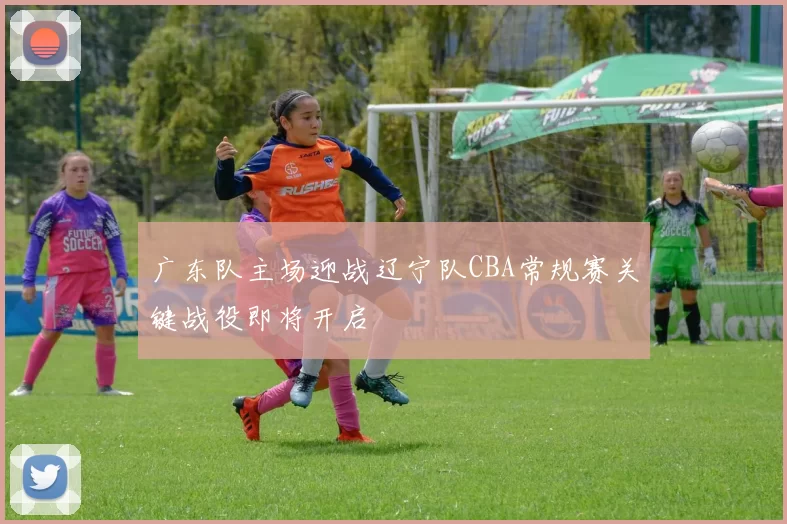 广东队主场迎战辽宁队CBA常规赛关键战役即将开启