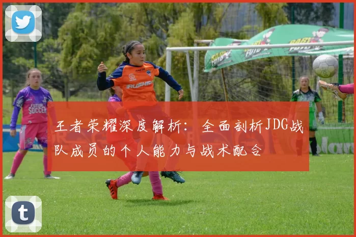 王者荣耀深度解析：全面剖析JDG战队成员的个人能力与战术配合