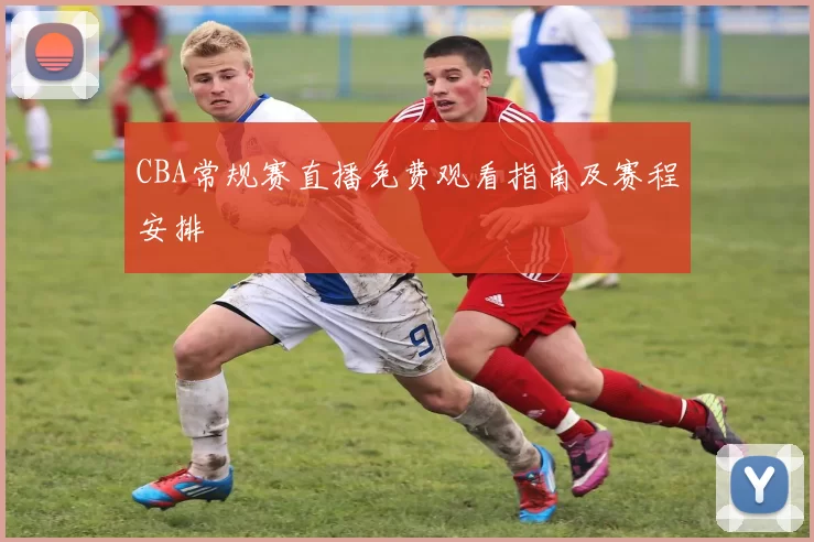 CBA常规赛直播免费观看指南及赛程安排