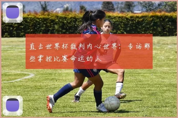 直击世界杯裁判内心世界:专访那些掌控比赛命运的人