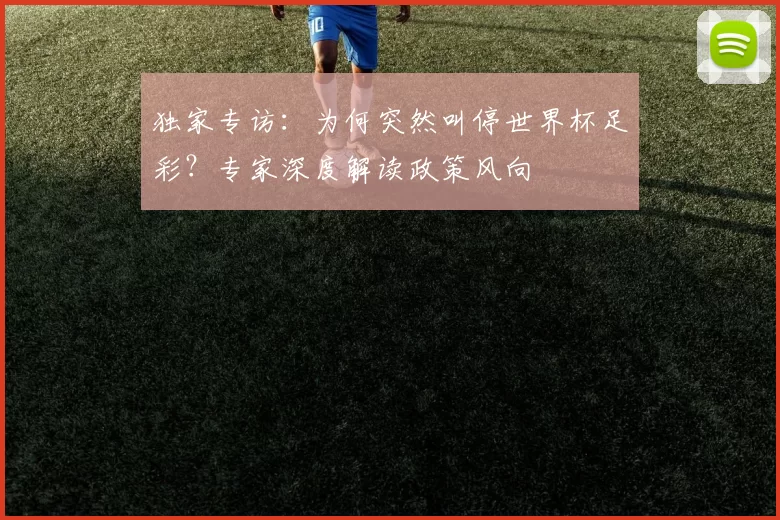 独家专访：为何突然叫停世界杯足彩？专家深度解读政策风向