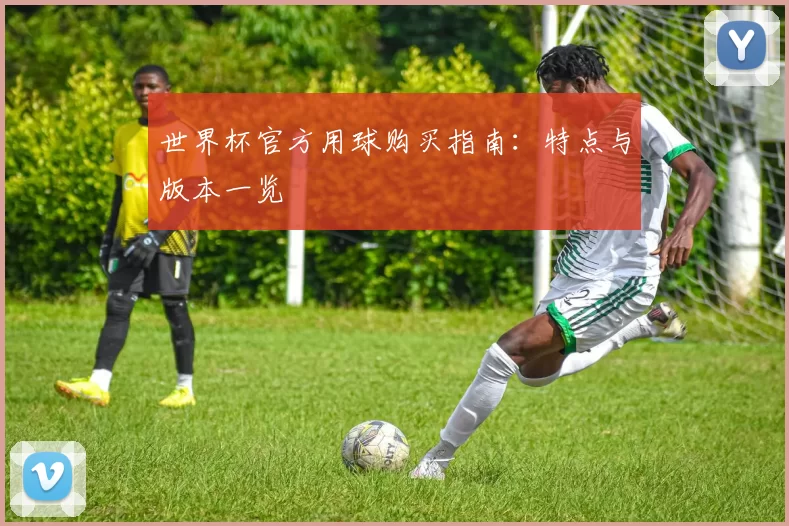 世界杯官方用球购买指南:特点与版本一览