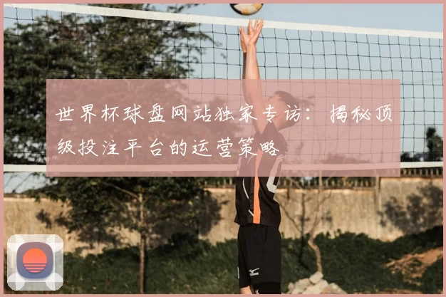 世界杯球盘网站独家专访:揭秘顶级投注平台的运营策略