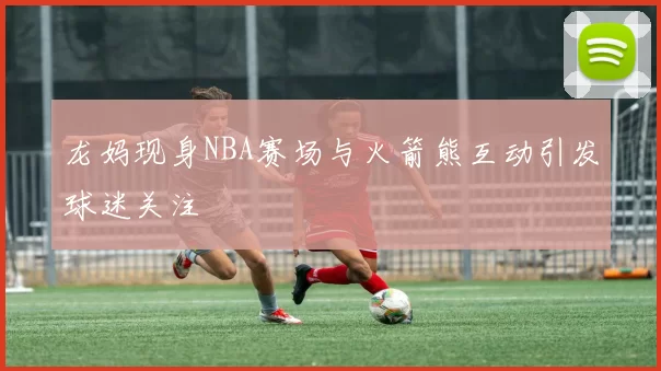 龙妈现身NBA赛场与火箭熊互动引发球迷关注
