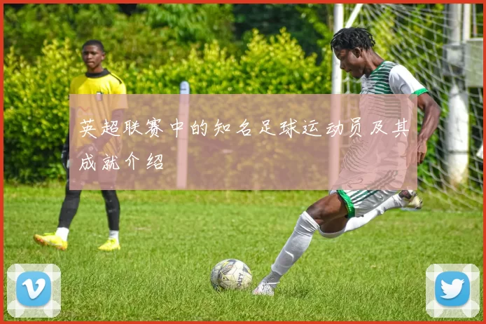 英超联赛中的知名足球运动员及其成就介绍