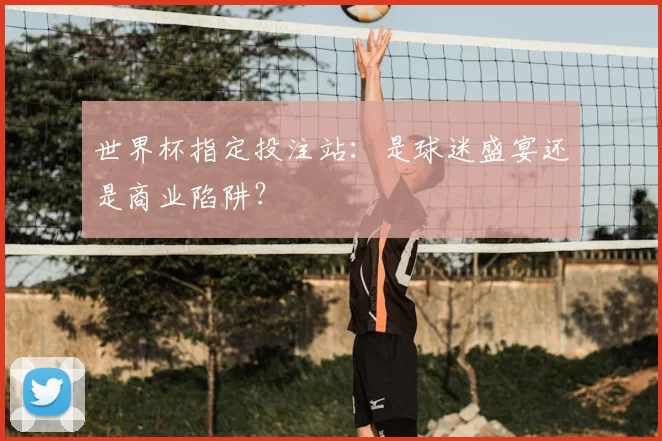 世界杯指定投注站：是球迷盛宴还是商业陷阱？