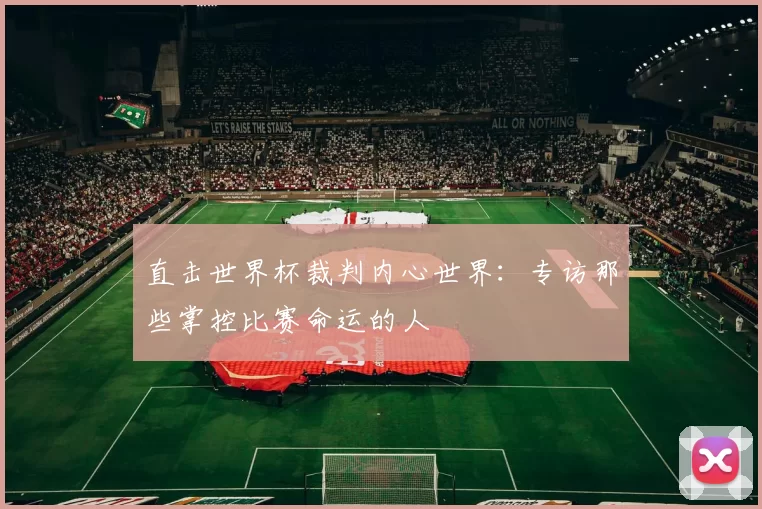 直击世界杯裁判内心世界：专访那些掌控比赛命运的人